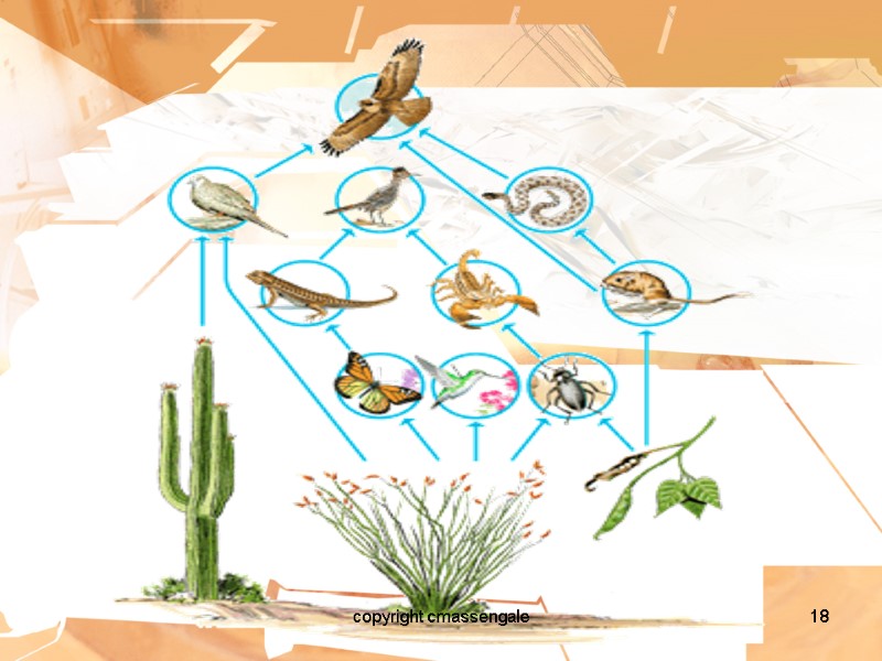 18 copyright cmassengale